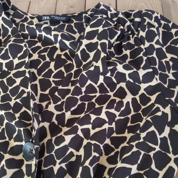 Zara Brown and Tan Animal Print A -Line Mini Dress - Picture 10 of 11